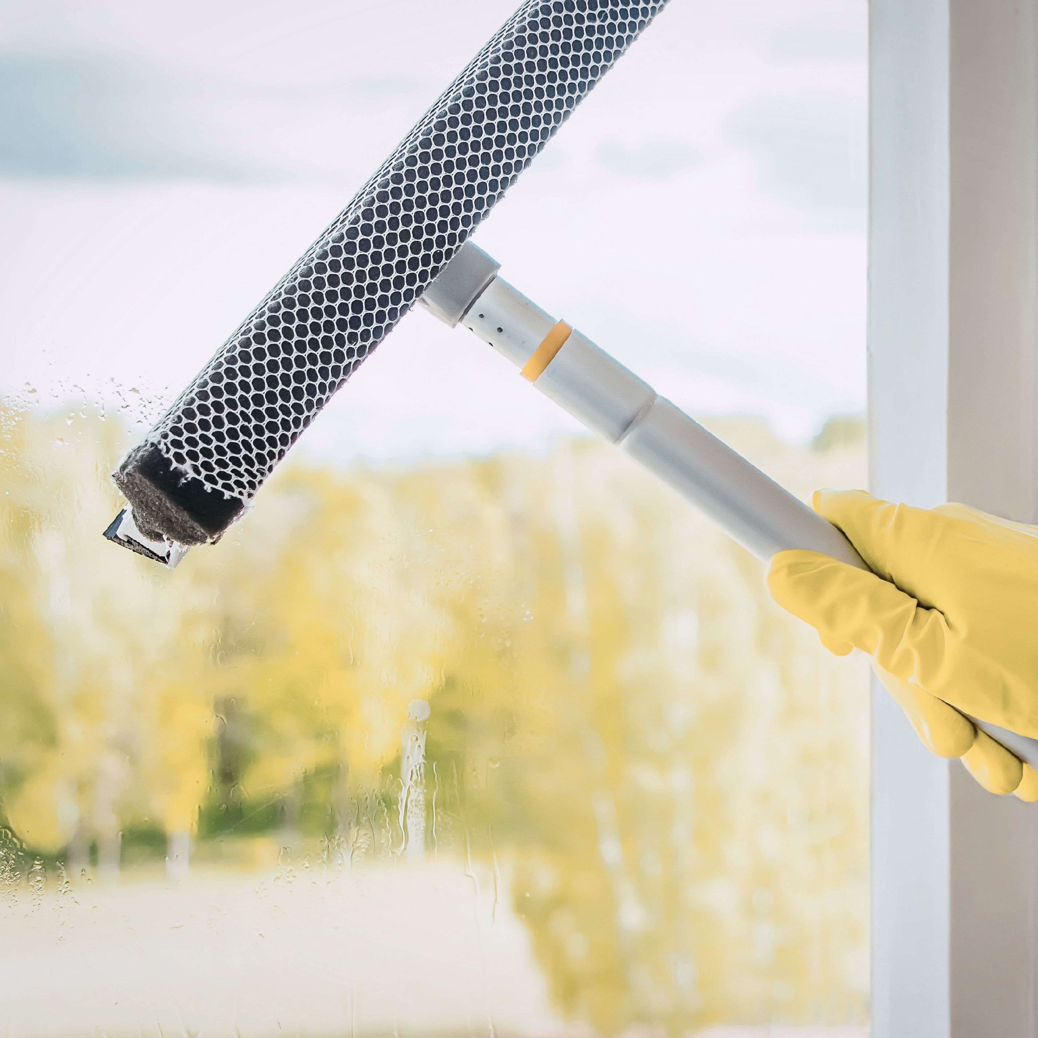 Window Cleaning